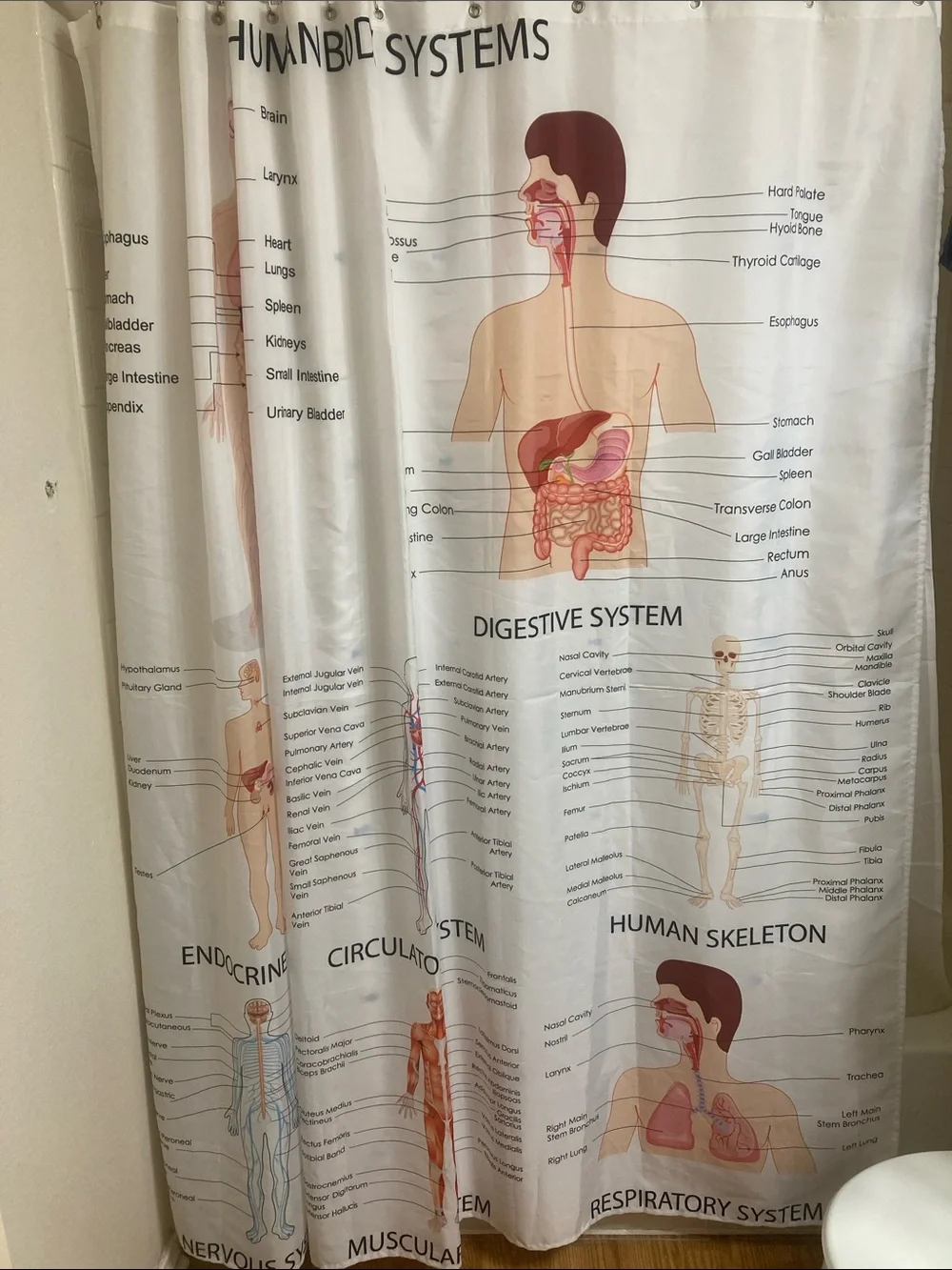 Human Body Systems Anatomy Shower Curtain